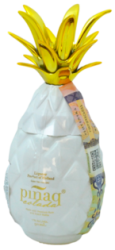 Pinaq Colada Mini 17% 0,05L (čistá fľaša)