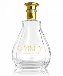Givinity Gin 0,7l (40%)